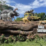 sewa bus untuk wisata di bali