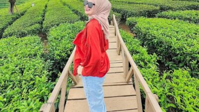 kebun teh wonosari